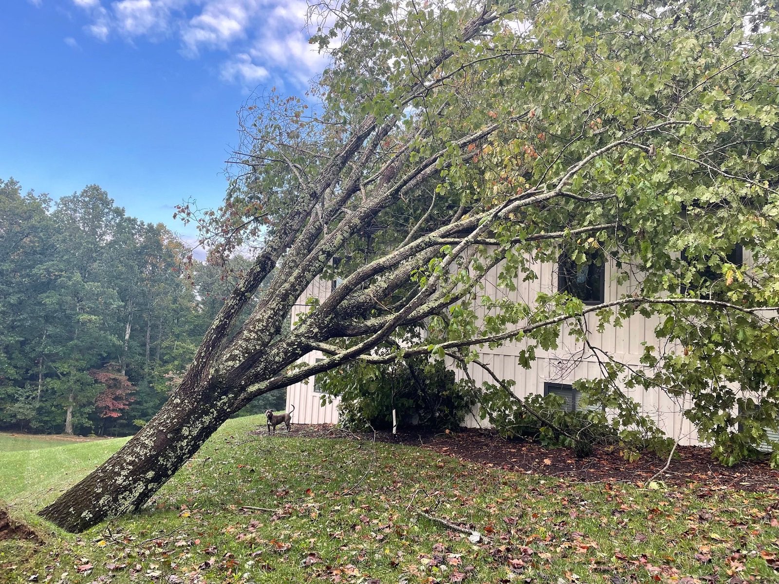 24/7 Storm Response